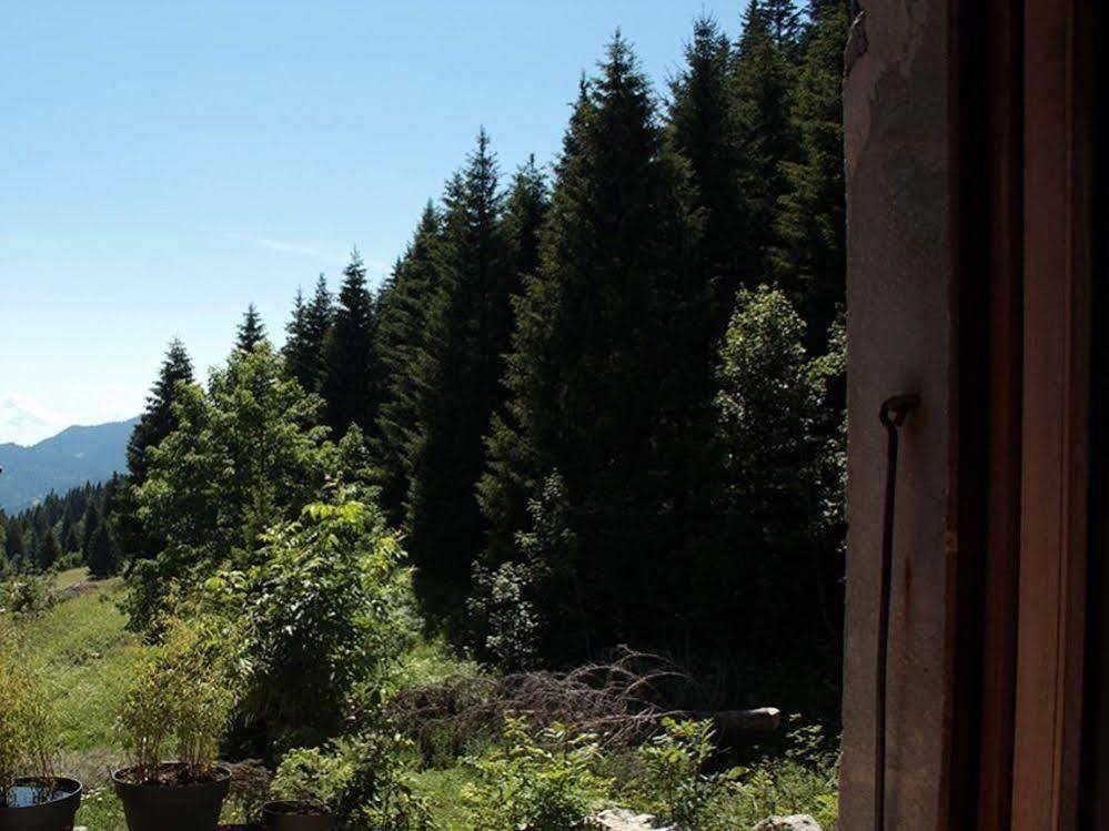 Les Ateliers Du Cucheron Saint-Pierre-de-Chartreuse Zewnętrze zdjęcie